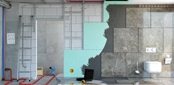 Best Basement Mold Removal  in North Las Vegas, NV