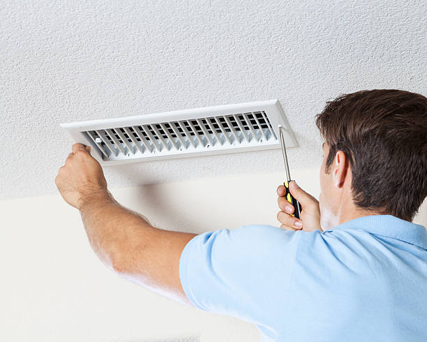 Best Attic Mold Removal  in North Las Vegas, NV