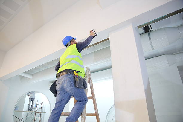 Best Black Mold Removal  in North Las Vegas, NV